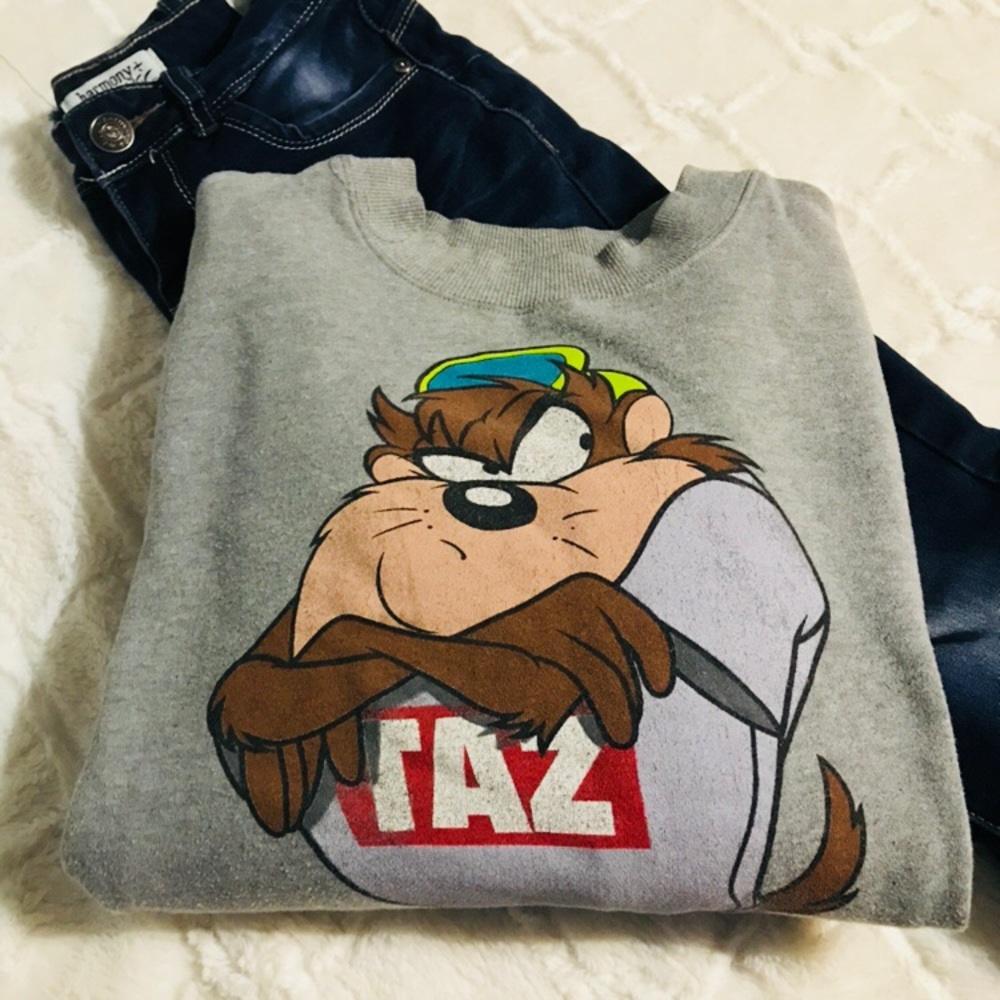TAZ Looney tunes sweater